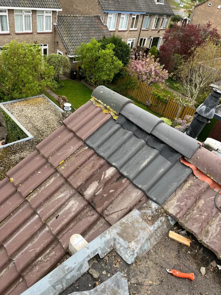 Replaced part of the ridge with new grey tiles and ridge tiles in Wolfheze